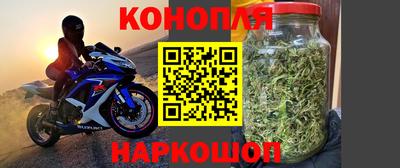 прущие крисы Мариинск