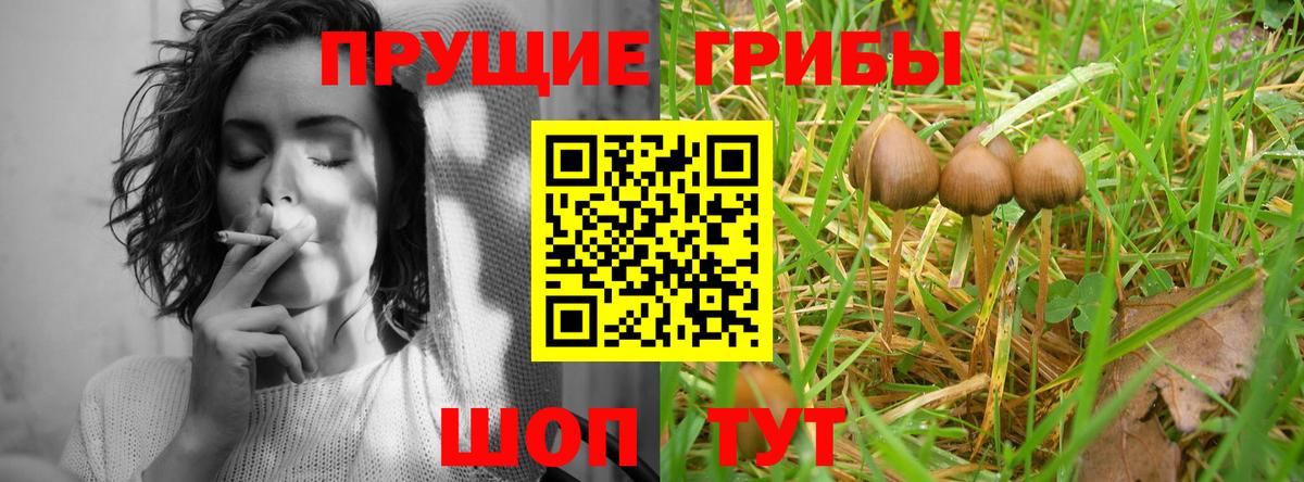 Галлюциногенные грибы ЛСД  Галлюциногенные грибы мицелий  Бузулук  Вход с VPN 