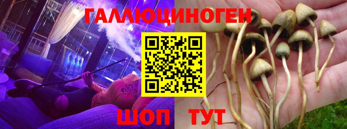 Галлюциногенные грибы мицелий Бузулук